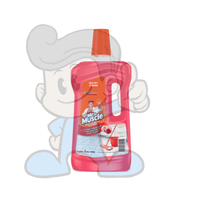 Scj Mr Muscle All Purpose Cleaner I Love You (2 X 1L) Household Supplies