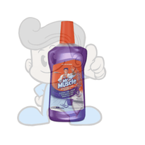 Scj Mr Muscle All Purpose Cleaner Wild Lavender (2 X 500 Ml) Household Supplies