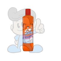 Scj Mr Muscle Bathroom Cleaner Floral (2 X 900 Ml) Household Supplies
