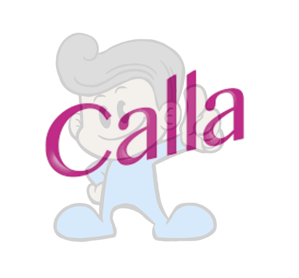 Calla Floral Fresh Powder Detergent W/ Fabcon (24 X 100G) Household Supplies