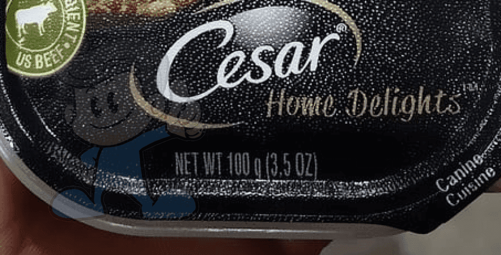Cesar Home Delights Grilled New York Strip Flavor With Vegetables In Sauce (5 X 100G) Pet Supplies