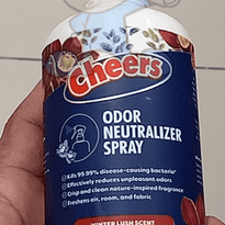 Cheers Odor Neutralizer Spray Winter Lush Scent (2 X 300 Ml) Household Supplies
