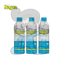 Niagara Fabric Finish Spray Sizing (3 X 20 Oz) Laundry & Cleaning Equipment