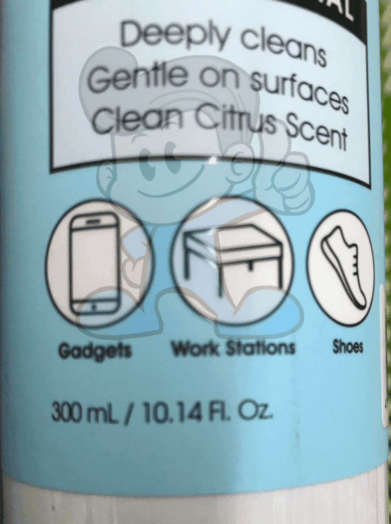 Penshoppe Multipurpose Disinfectant Antibacterial Spray Clean Citrus Scent (2 X 300 Ml) Household