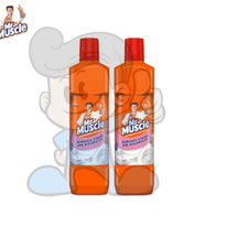 Scj Mr Muscle Bathroom Cleaner Floral (2 X 900 Ml) Household Supplies