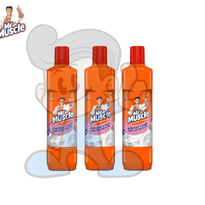 Scj Mr Muscle Bathroom Cleaner Floral (3 X 450 Ml) Household Supplies